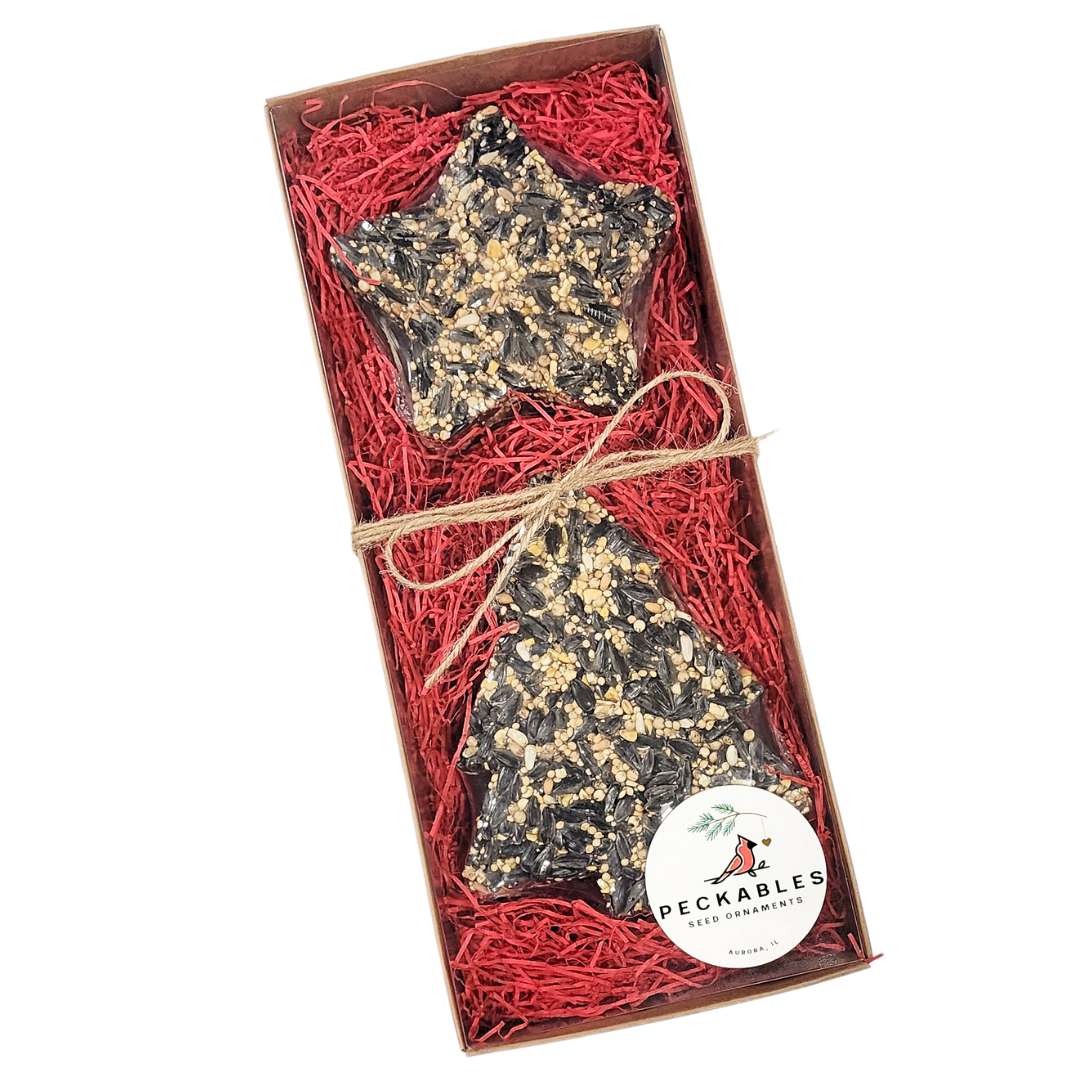 a star and tree seed ornament nestled in red shred in a kraft box tied with twine