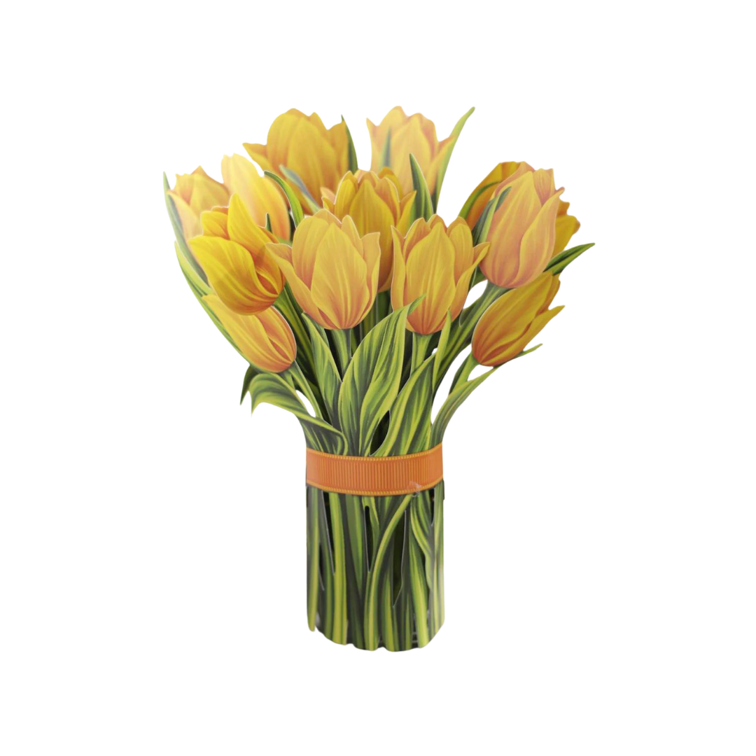 cut yellow tulips banded with an orange band
