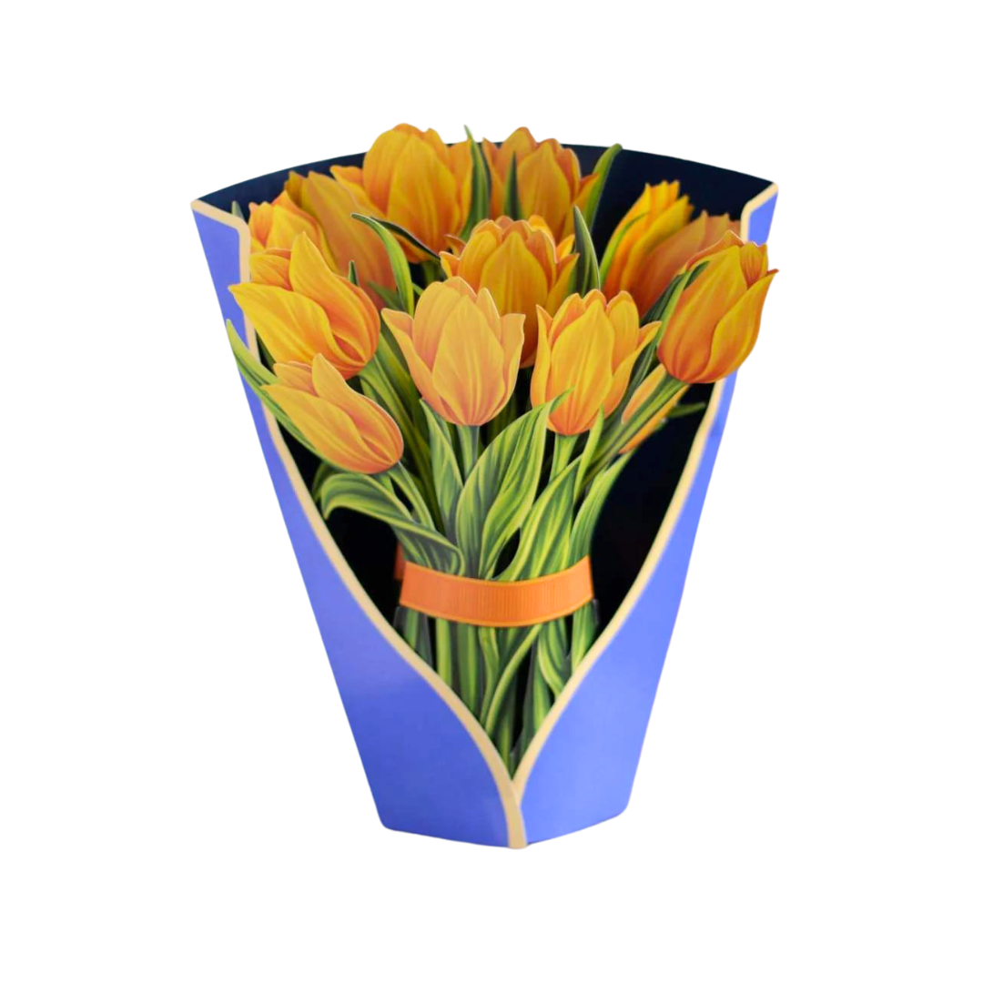 cut yellow tulips banded with an orange band and a blue outer wrap