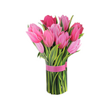 Pink Tulips Pop Up Card featuring a lifelike 3D pink tulip bouquet, perfect for special occasions, made from recycled paper, includes blank note card.