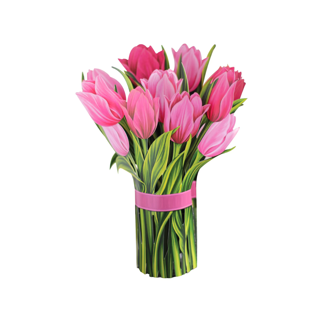 pink tulips with a pink band